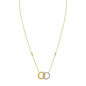 14K Two Tone Gold Interlocking Circle Necklace